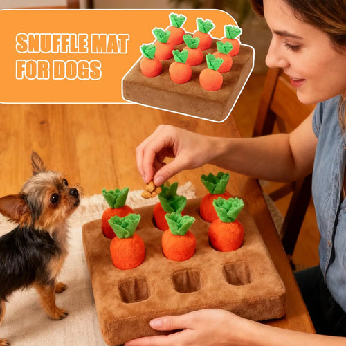 Carrot snuffle mat for dogs
