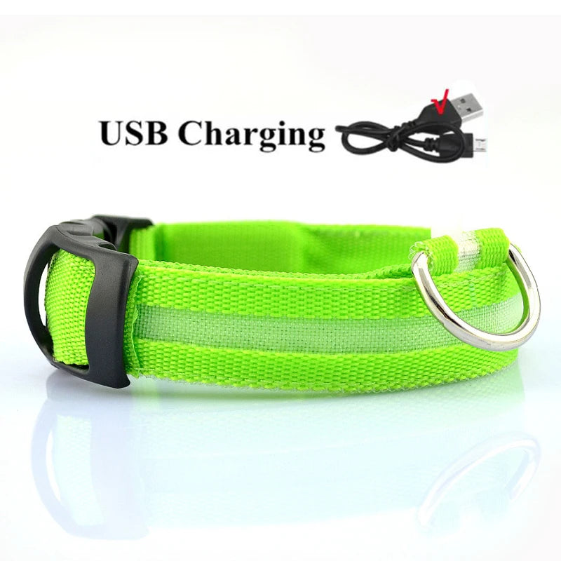 GlowTrail LED Dog Collar